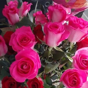 Meet your Posher, Susana